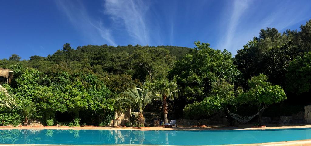 Paradise Garden Hotel Oludeniz Eksteriør bilde