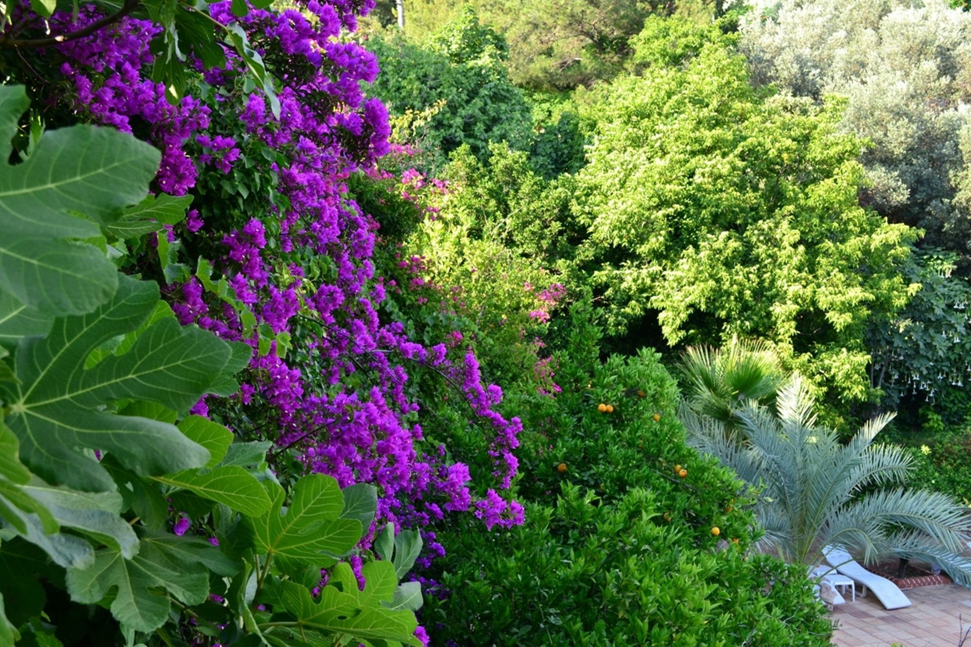 Paradise Garden Hotel Oludeniz Eksteriør bilde